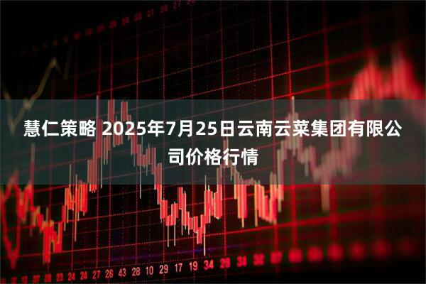 慧仁策略 2025年7月25日云南云菜集团有限公司价格行情