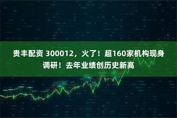 贵丰配资 300012，火了！超160家机构现身调研！去年业绩创历史新高